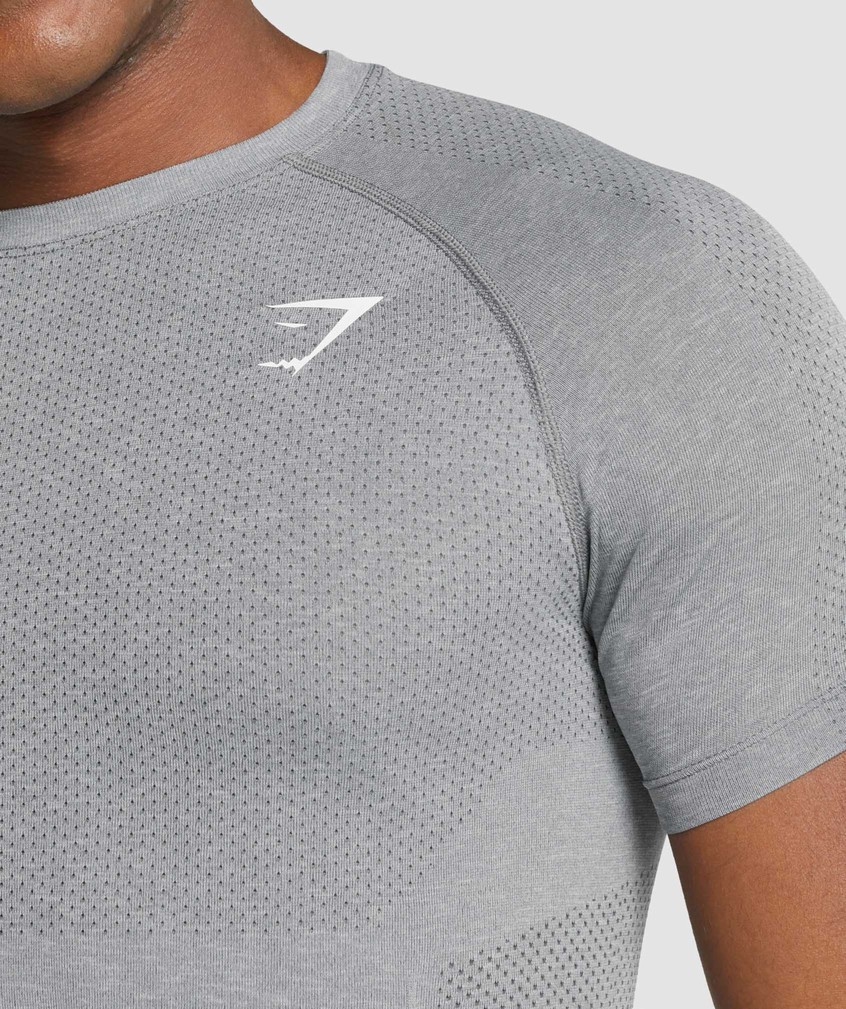 Grey Men's Gymshark Vital Light Seamless T-Shirts | USA-29301