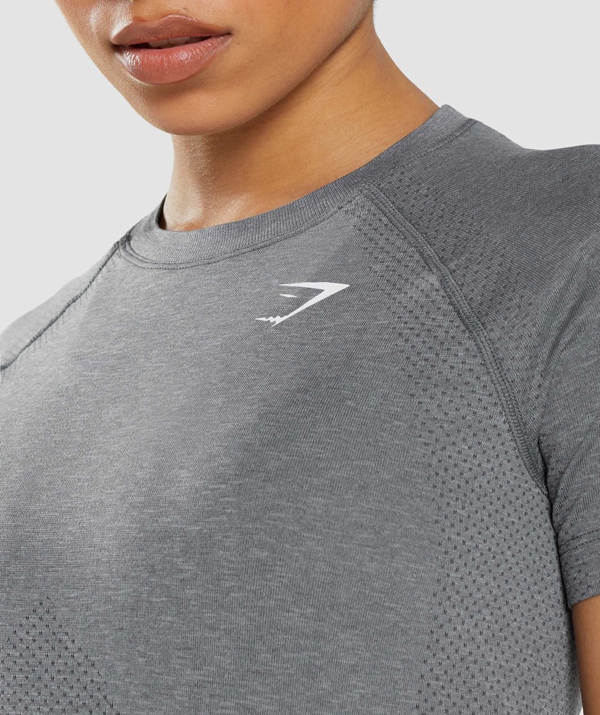 Grey Women's Gymshark Vital Seamless 2.0 Light T-Shirts | USA-95342