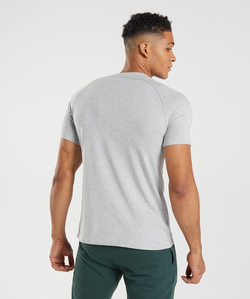 Light Grey Men's Gymshark Apollo T-Shirts | USA-36917