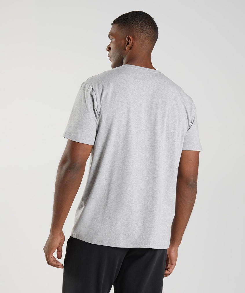 Light Grey Men's Gymshark Block T-Shirts | USA-32840