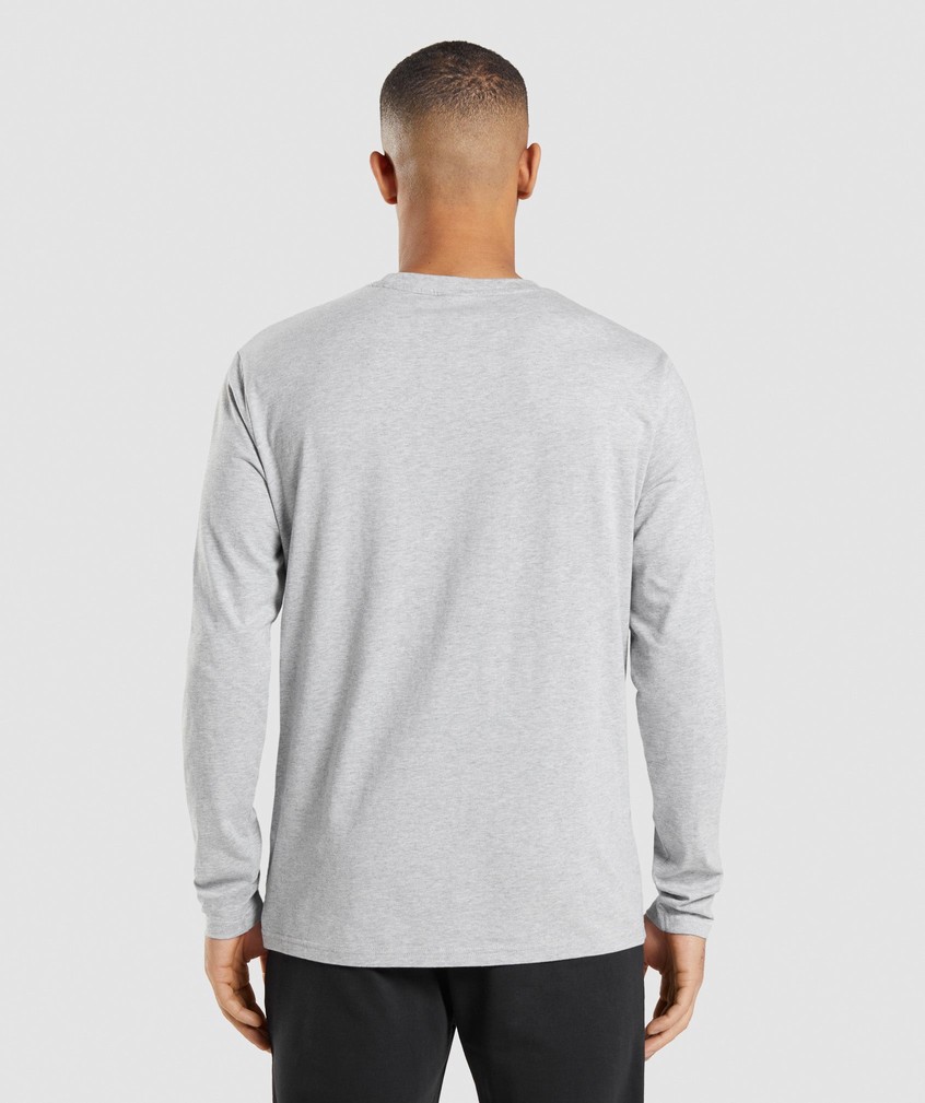 Light Grey Men's Gymshark Crest Long Sleeve T-Shirts | USA-85306