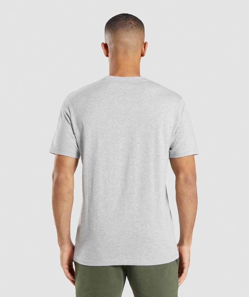 Light Grey Men's Gymshark Crest T-Shirts | USA-84369