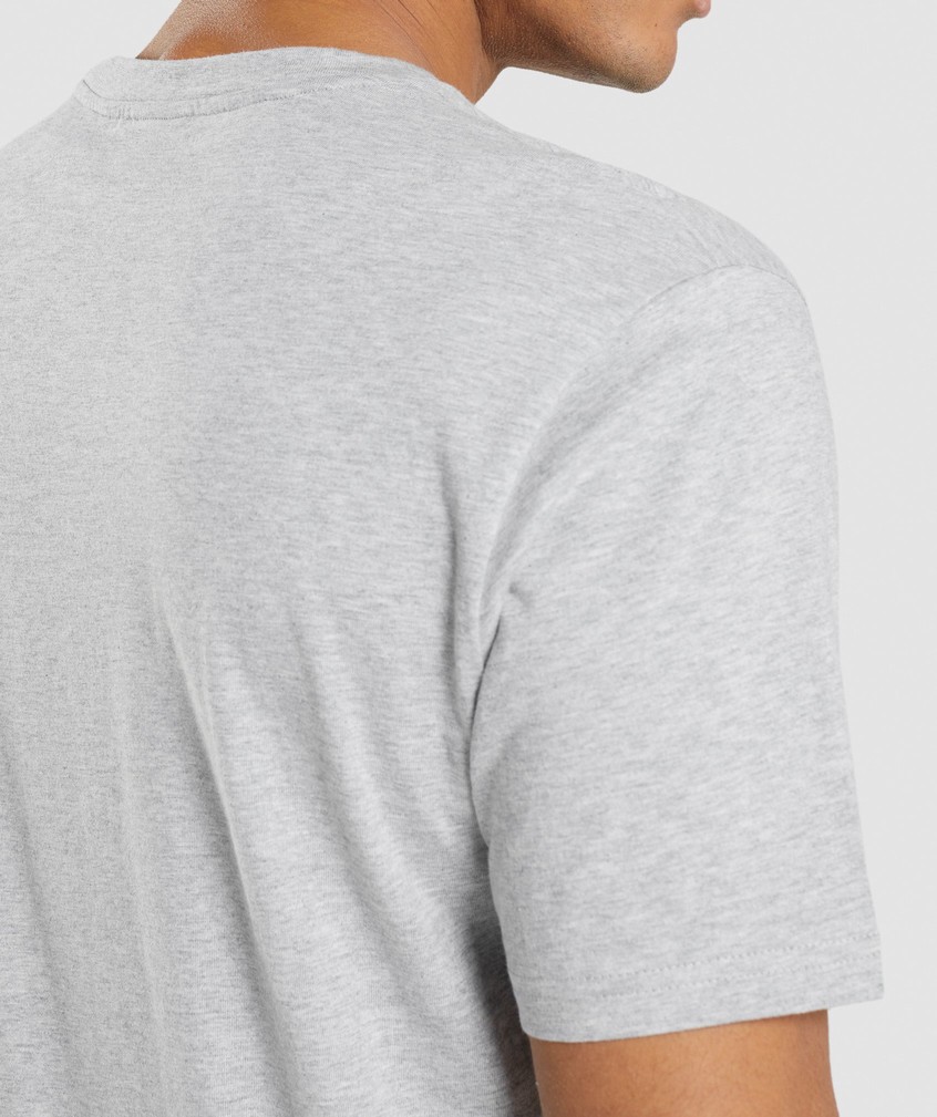 Light Grey Men's Gymshark Crest T-Shirts | USA-84369