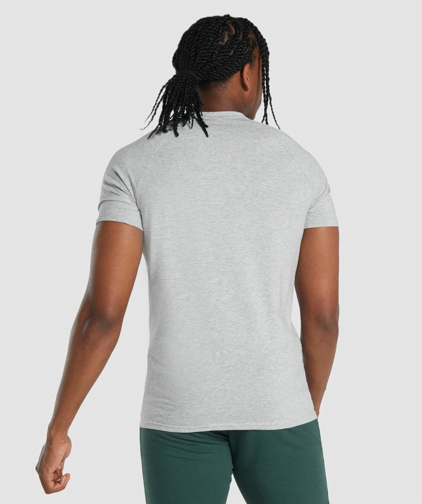 Light Grey Men's Gymshark Critical 2.0 T-Shirts | USA-59863