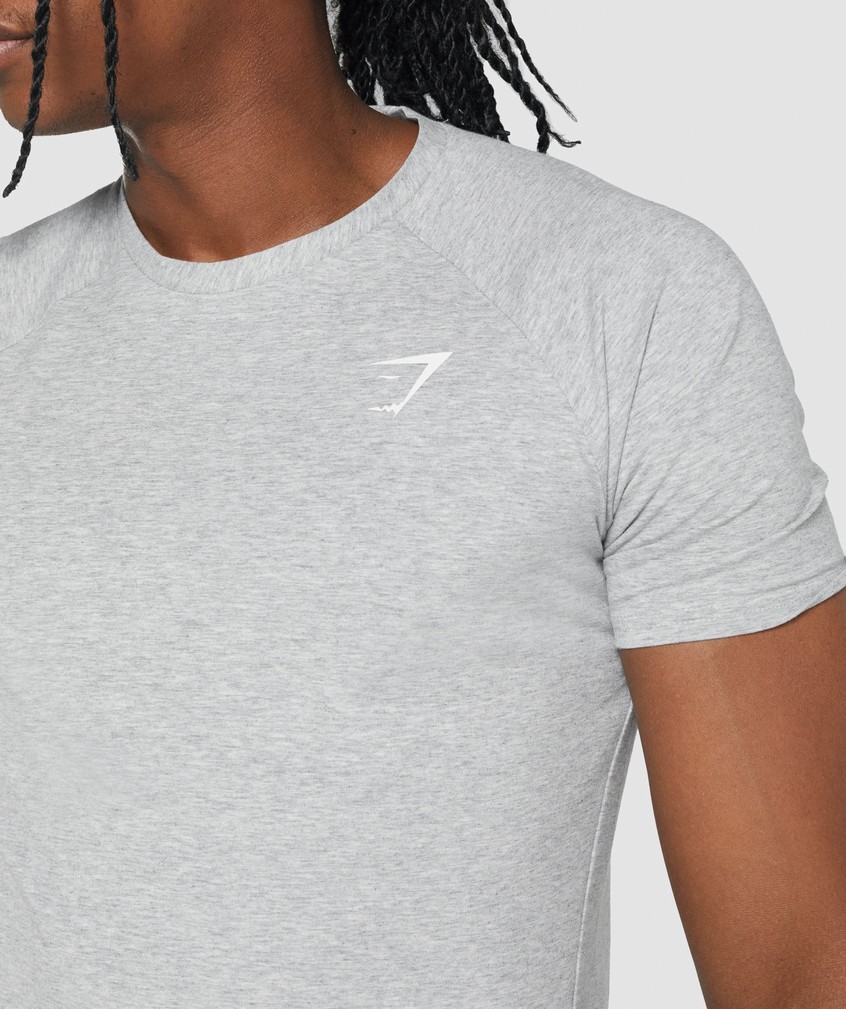 Light Grey Men's Gymshark Critical 2.0 T-Shirts | USA-59863