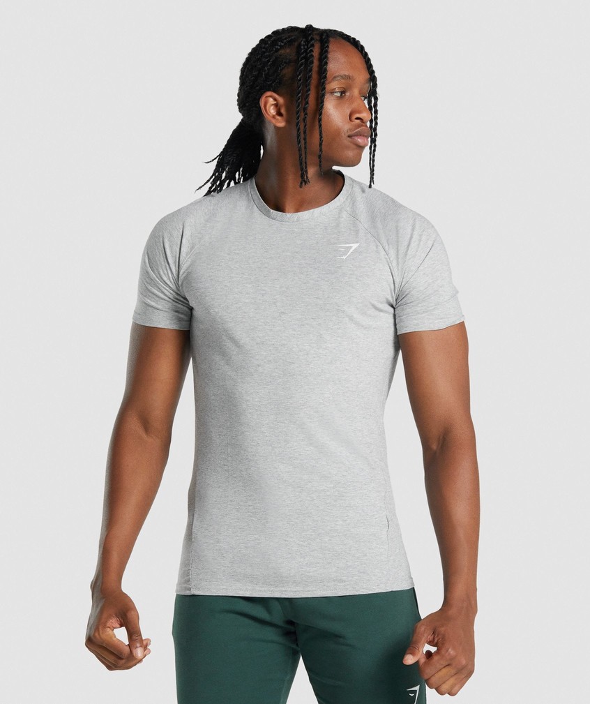 Light Grey Men\'s Gymshark Critical 2.0 T-Shirts | USA-59863