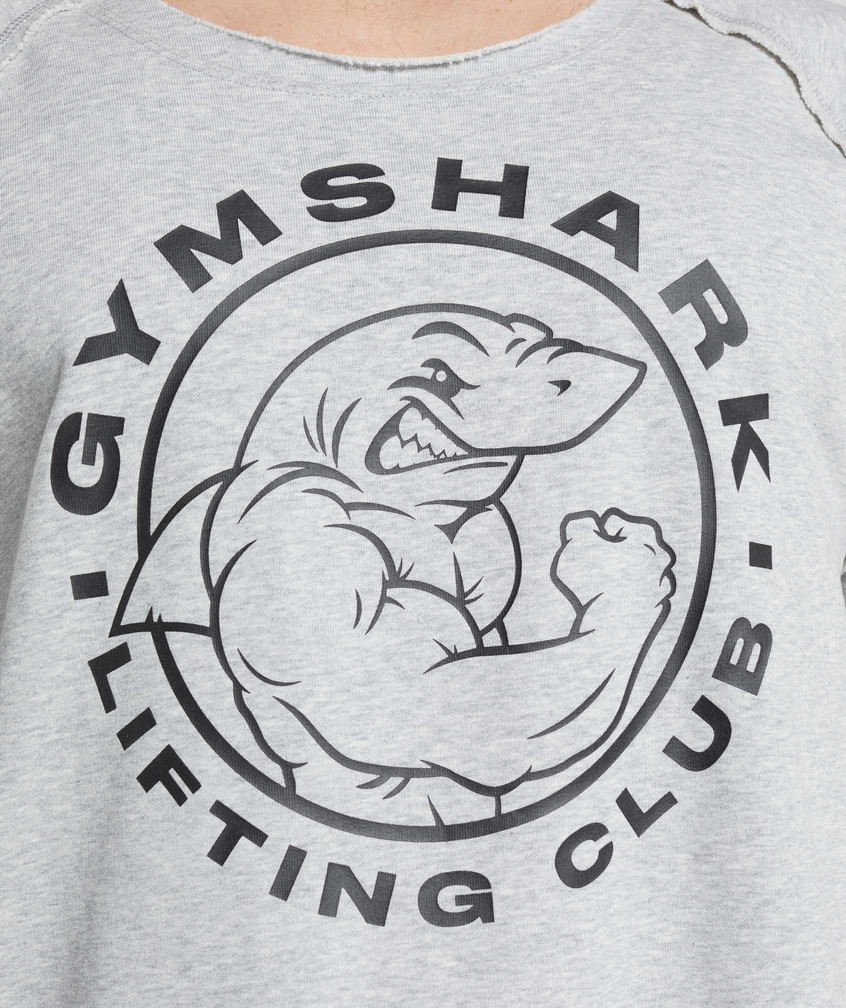 Light Grey Men's Gymshark Legacy Rag Top T-Shirts | USA-73851