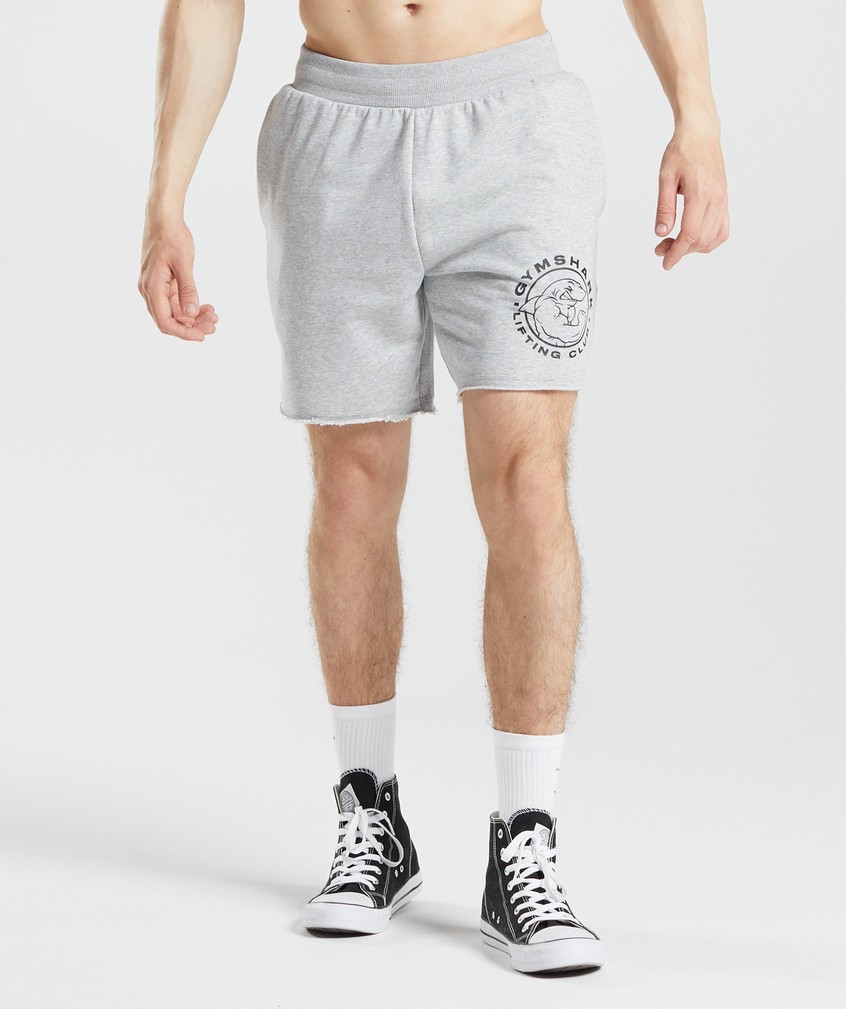 Light Grey Men\'s Gymshark Legacy Shorts | USA-48032