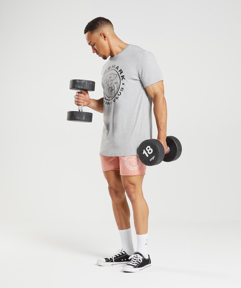 Light Grey Men's Gymshark Legacy T-Shirts | USA-07364