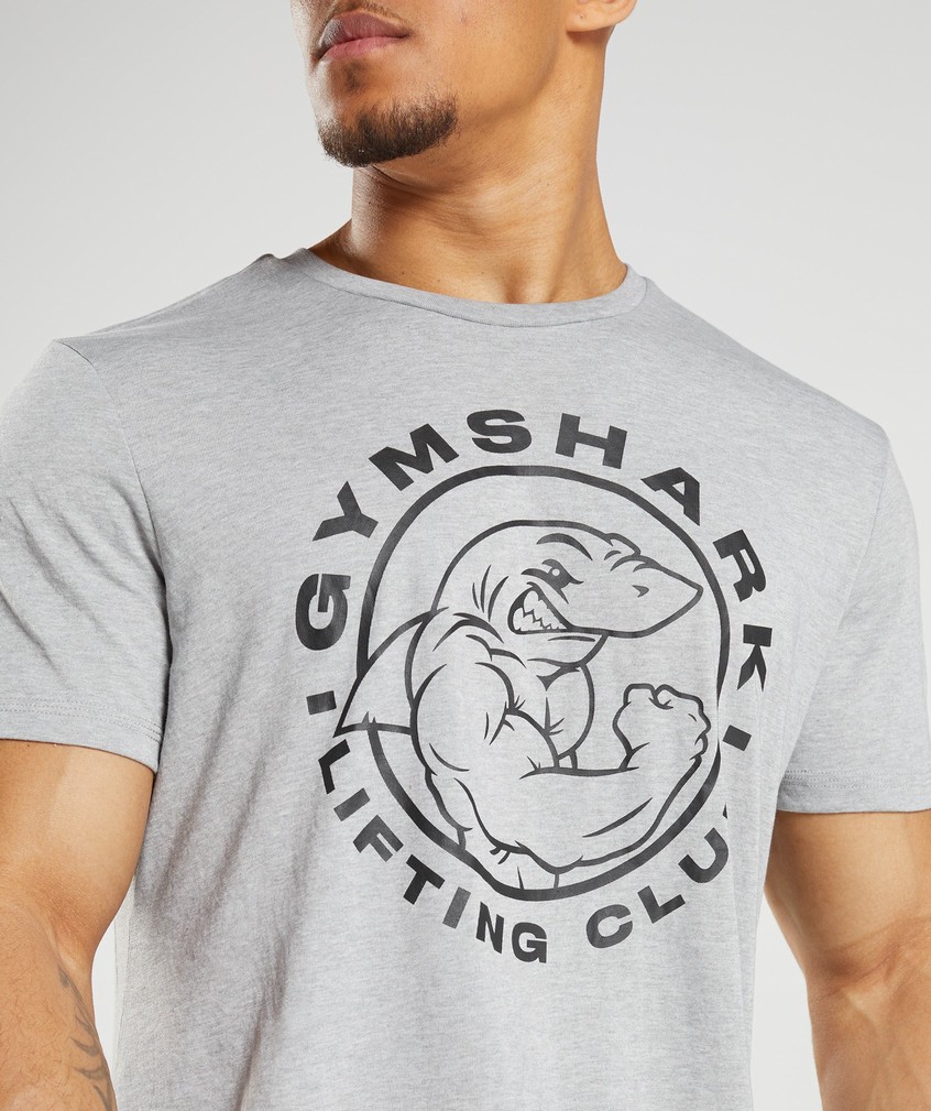 Light Grey Men's Gymshark Legacy T-Shirts | USA-07364