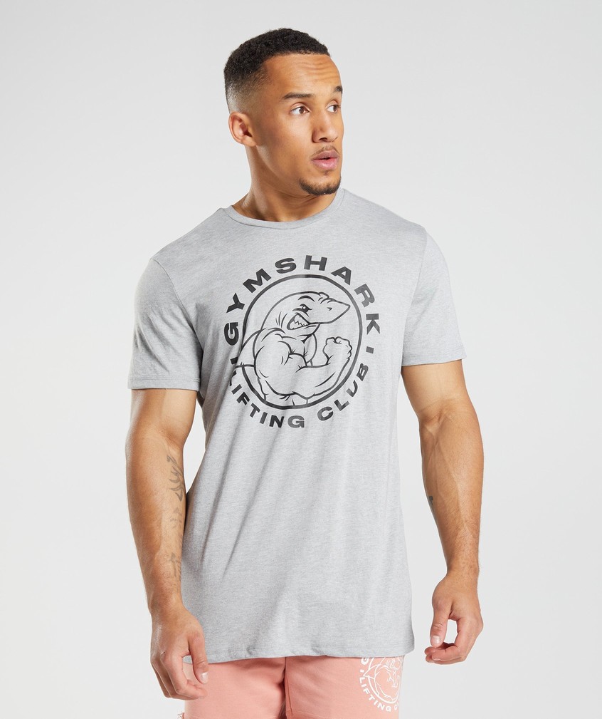 Light Grey Men\'s Gymshark Legacy T-Shirts | USA-07364