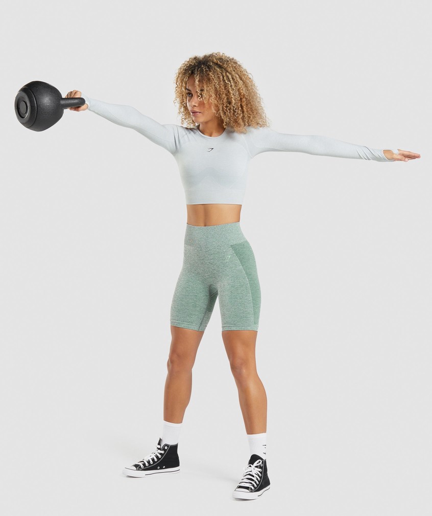 Light Grey Women's Gymshark Flex Sports Long Sleeve Crop Top T-Shirts | USA-53826