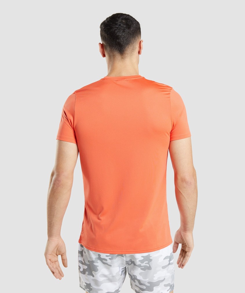 Orange Men's Gymshark Arrival Graphic T-Shirts | USA-20876