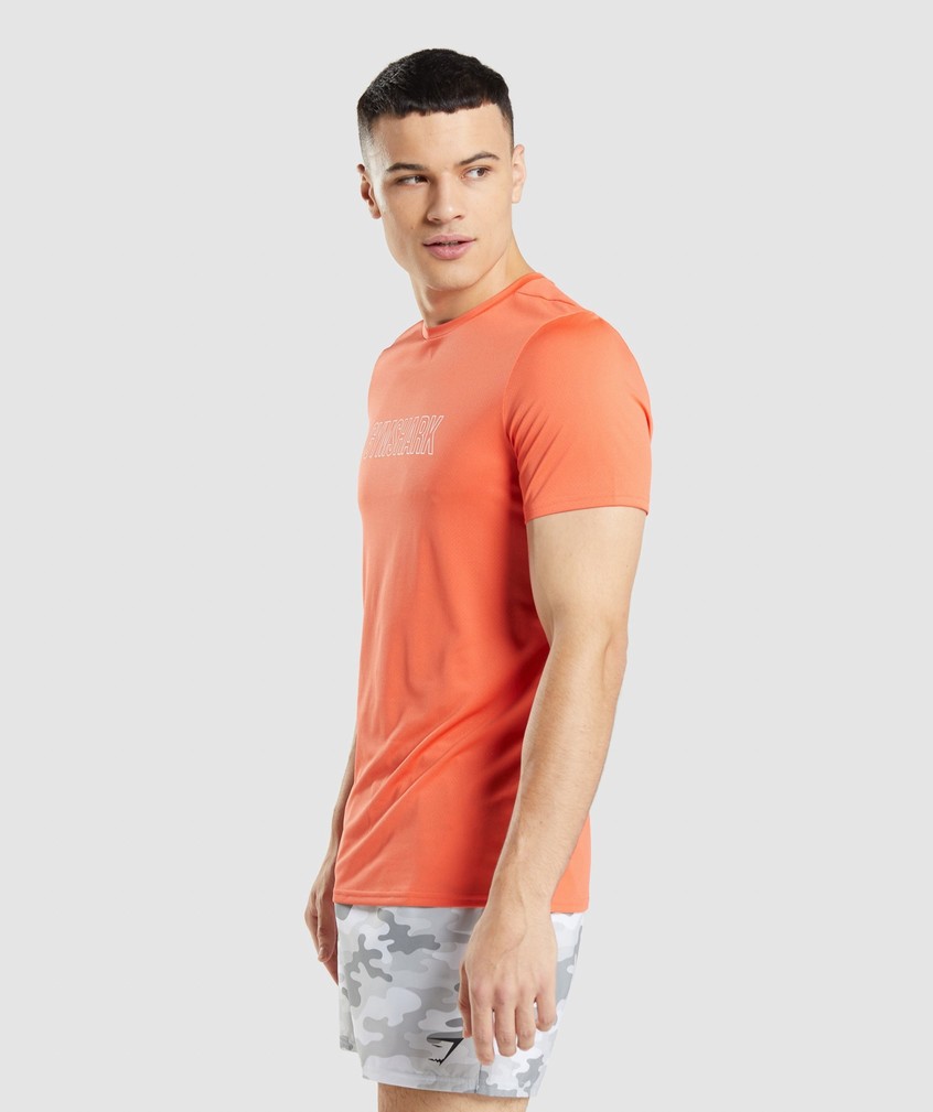 Orange Men's Gymshark Arrival Graphic T-Shirts | USA-20876