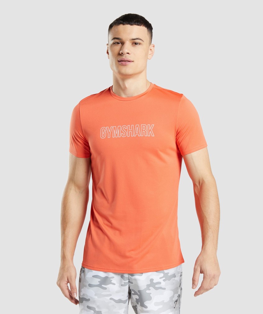 Orange Men\'s Gymshark Arrival Graphic T-Shirts | USA-20876