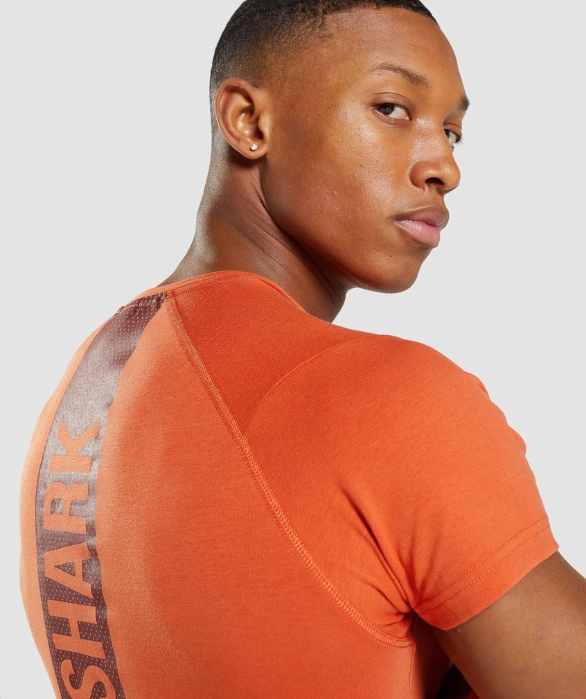 Orange Men's Gymshark Bold T-Shirts | USA-04976