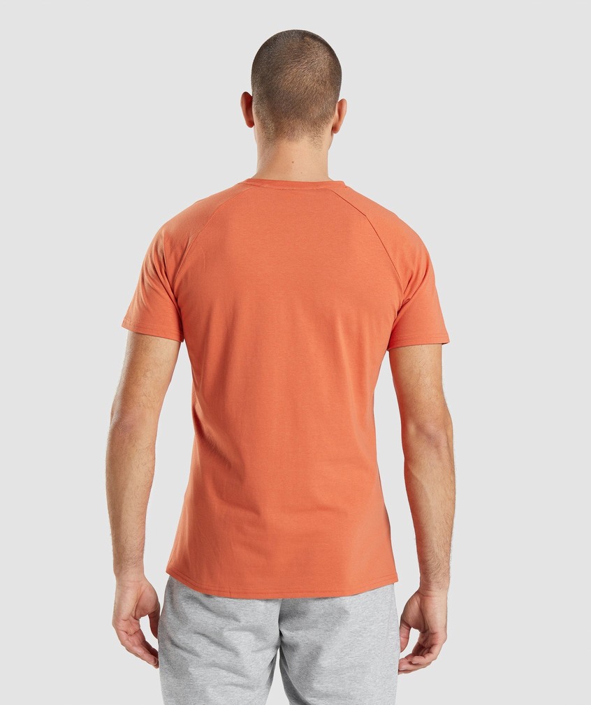 Orange Men's Gymshark Critical T-Shirts | USA-62149