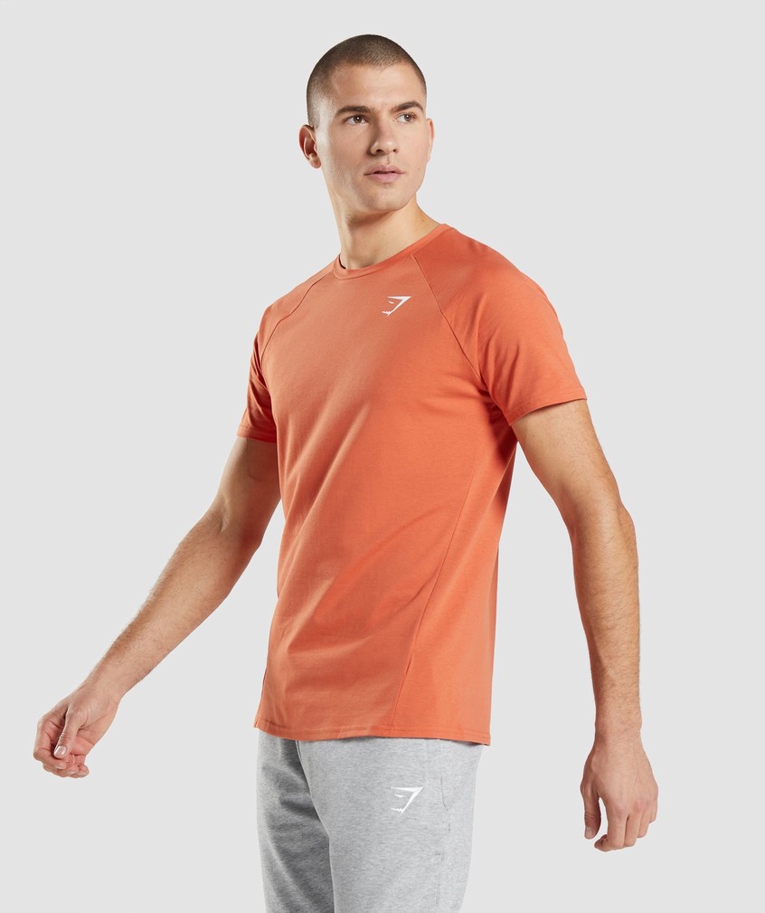 Orange Men's Gymshark Critical T-Shirts | USA-62149