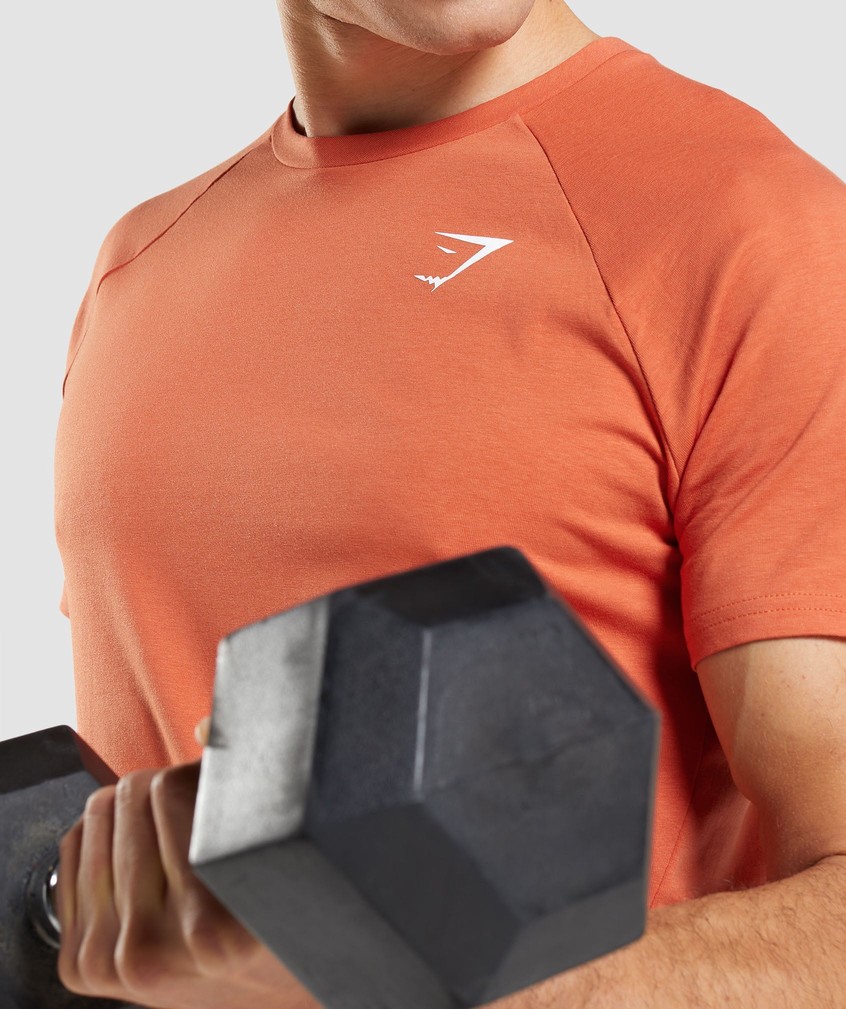 Orange Men's Gymshark Critical T-Shirts | USA-62149