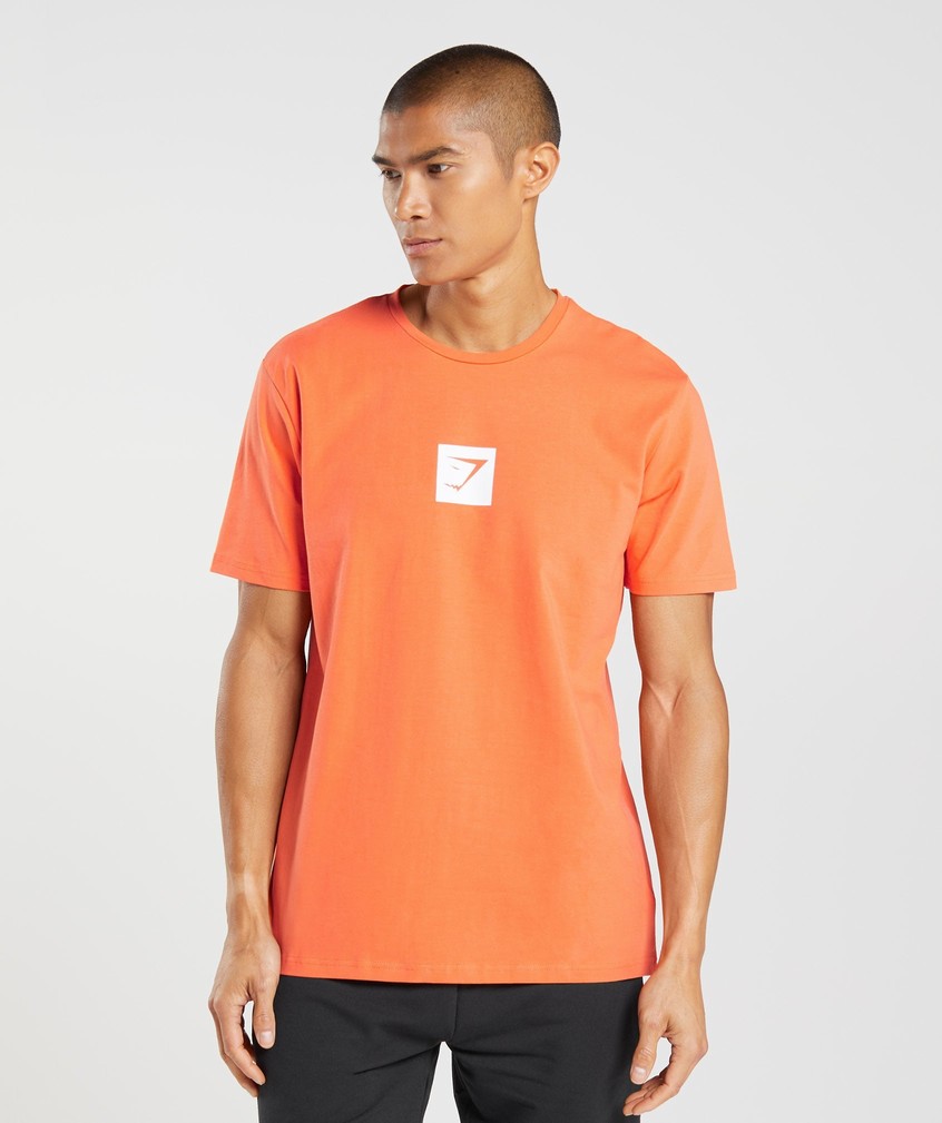 Orange Men\'s Gymshark Outline T-Shirts | USA-71523