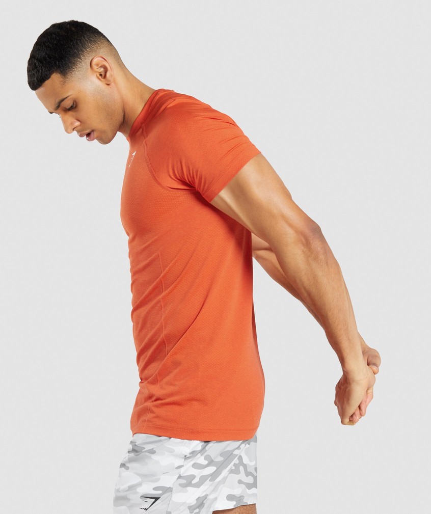 Orange Men's Gymshark Vital Light Seamless T-Shirts | USA-75341