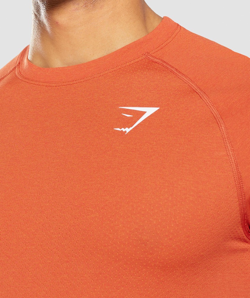 Orange Men's Gymshark Vital Light Seamless T-Shirts | USA-75341