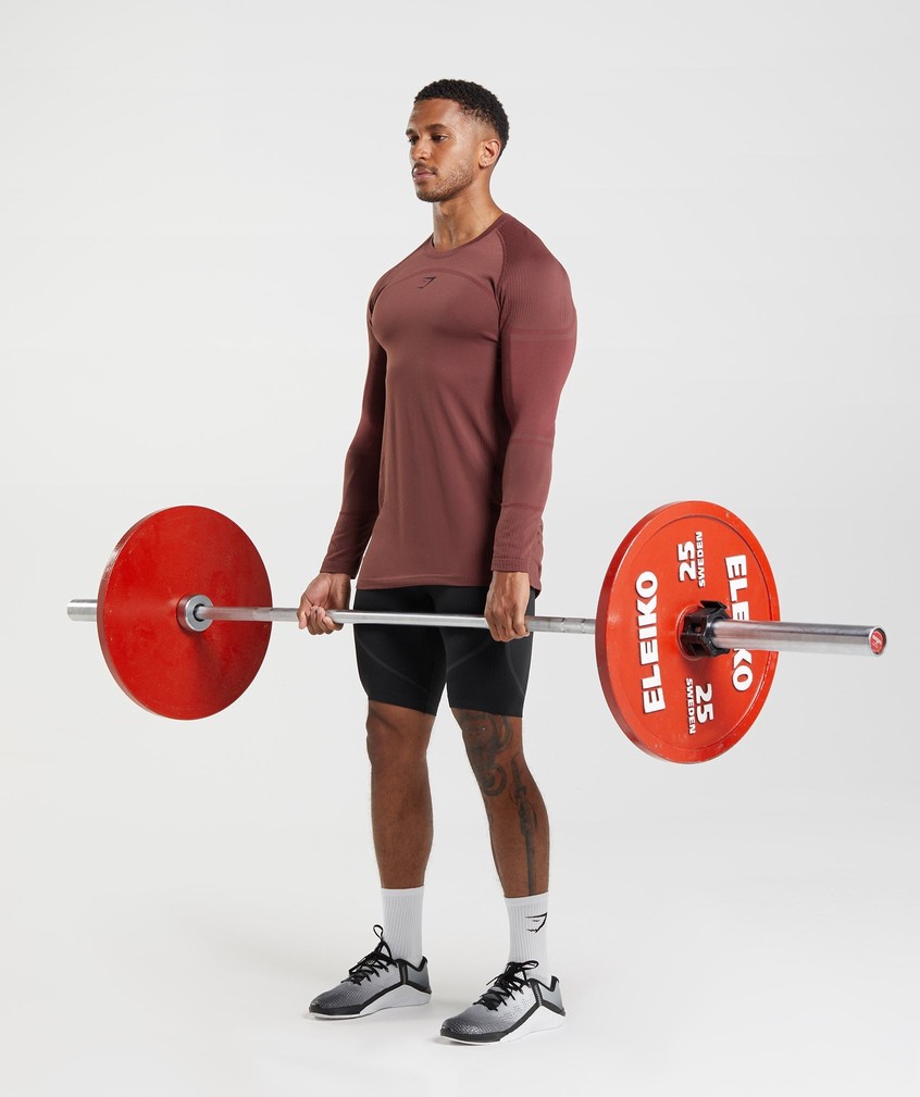 Pink Brown Men's Gymshark 315 Long Sleeve T-Shirts | USA-81926