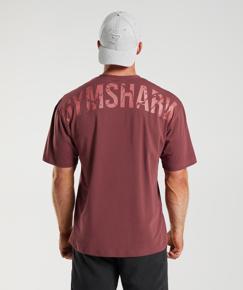 Pink Brown Men\'s Gymshark Power T-Shirts | USA-41390