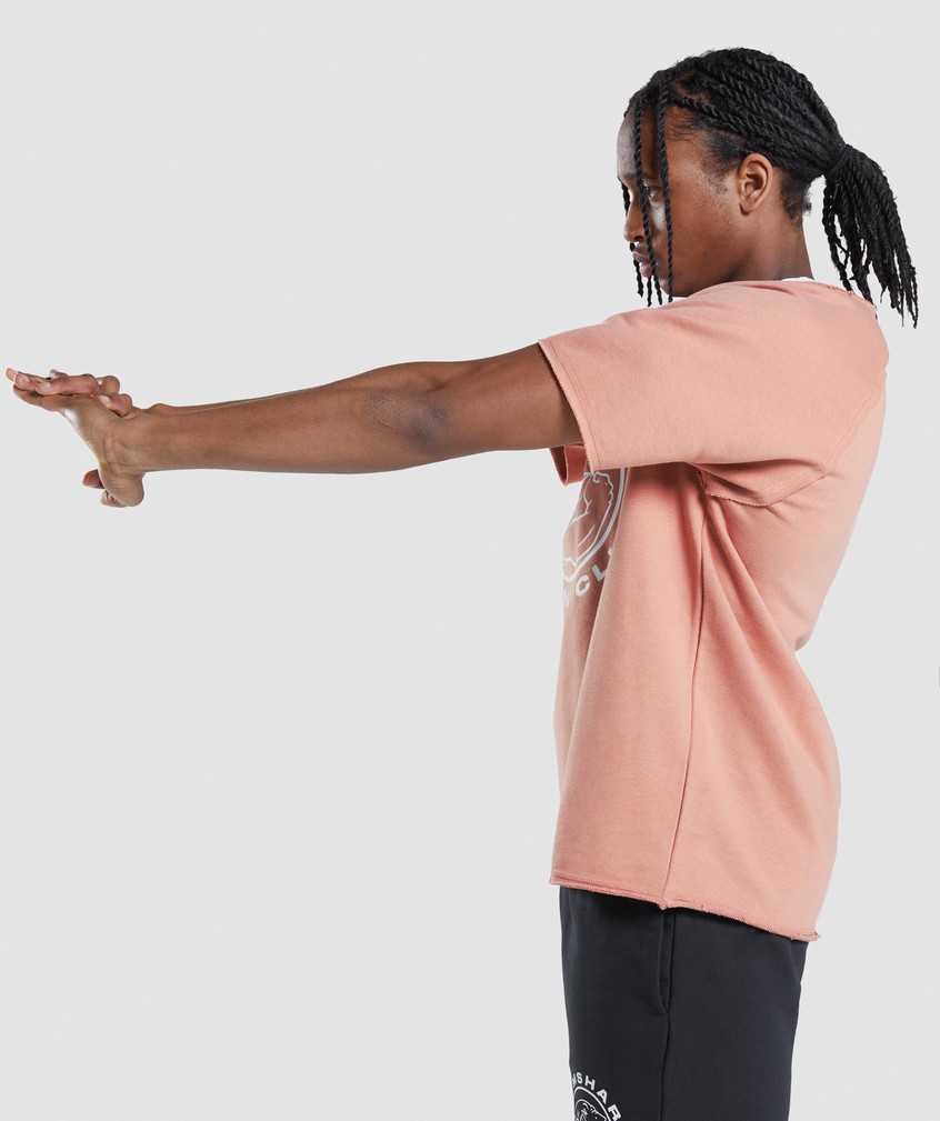 Pink Men's Gymshark Legacy Rag Top T-Shirts | USA-40182