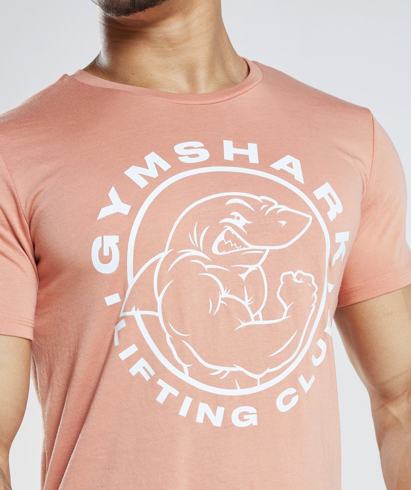 Pink Men's Gymshark Legacy T-Shirts | USA-72645