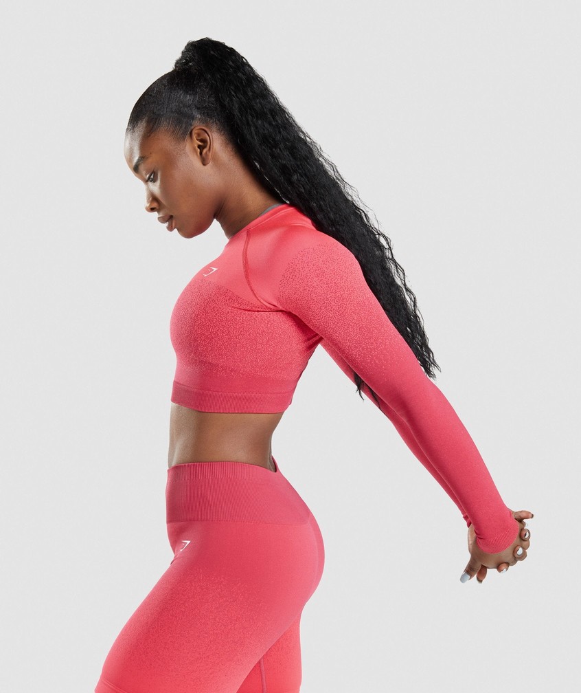 Pink / Red Women's Gymshark Adapt Ombre Seamless Long Sleeve Crop Top T-Shirts | USA-29481