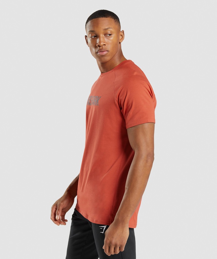 Red Men's Gymshark Apollo Camo T-Shirts | USA-40193