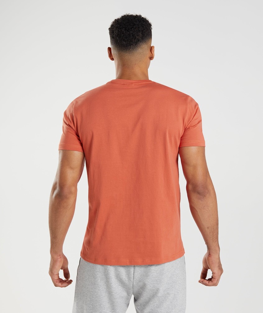 Red Men's Gymshark Sharkhead Infill T-Shirts | USA-04578