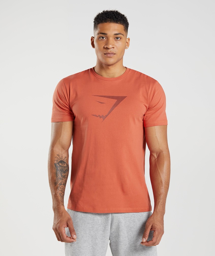 Red Men\'s Gymshark Sharkhead Infill T-Shirts | USA-04578