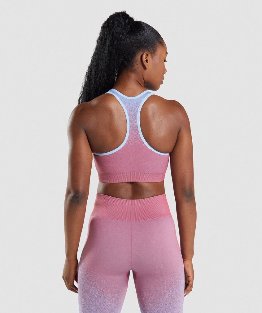 Rose Pink / Light Blue Women's Gymshark Adapt Ombre Seamless Sports Bra | USA-70398