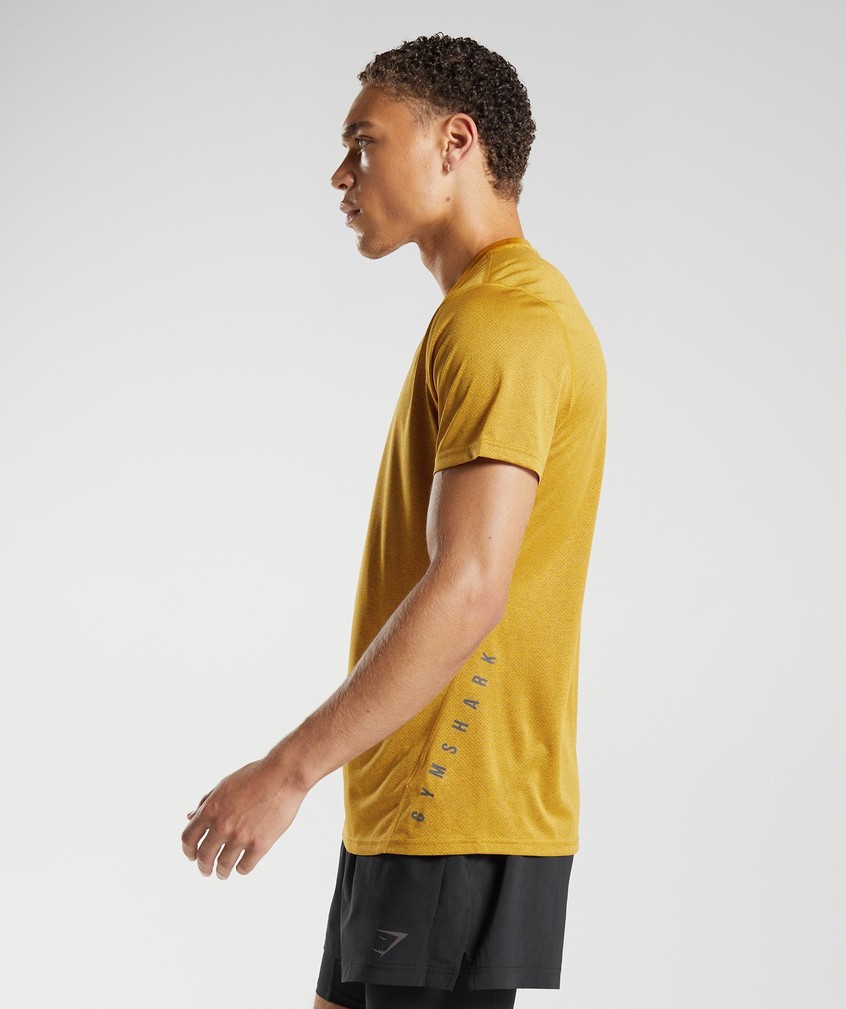 Yellow / Black Men's Gymshark Sport T-Shirts | USA-19057